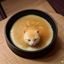 用户头像，昵称资源猎手，1024社区进阶用户